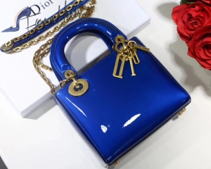 Dior Bag 034